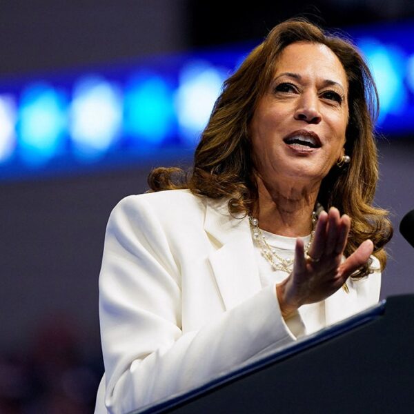 Kamala Harris provides polices to marketing campaign web site ripping Trump on…