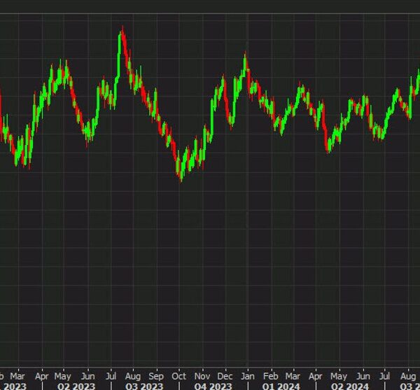 Morgan Stanley sees the euro falling to 1.02 this 12 months because…