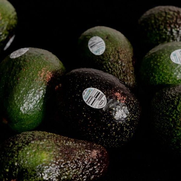 U.S. will now let Mexico examine its personal export avocados for pests