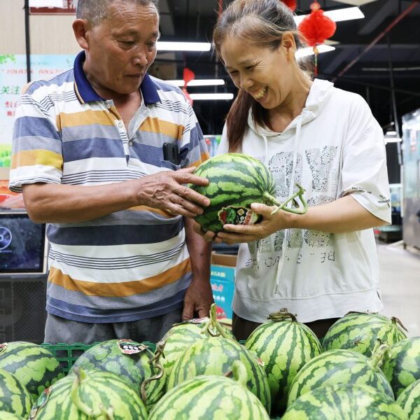 China’s rising wave of ‘full-time dads’ upend norms as greater than half…