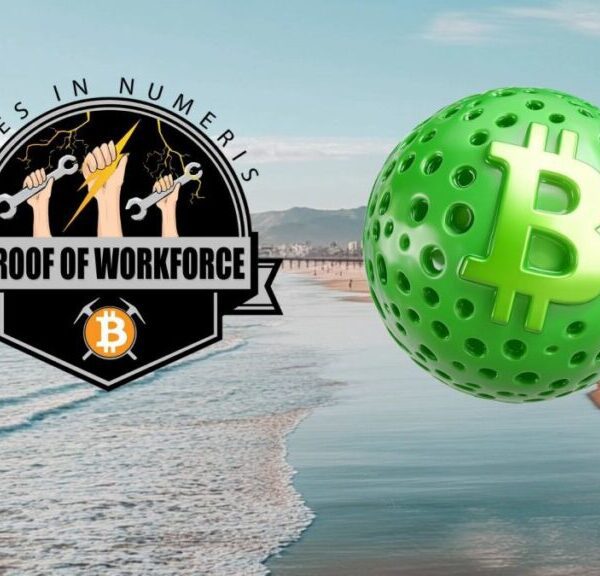 Proof of Workforce, Fold, and Pickle Pop Partner on Pickleball Tournament, Offer…