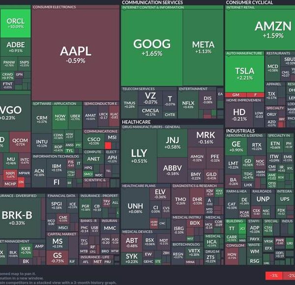 Tech shares rally: Software and web giants lead the cost