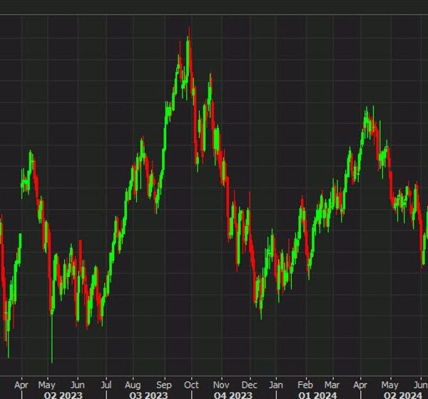 Oil falls to the bottom in a 12 months