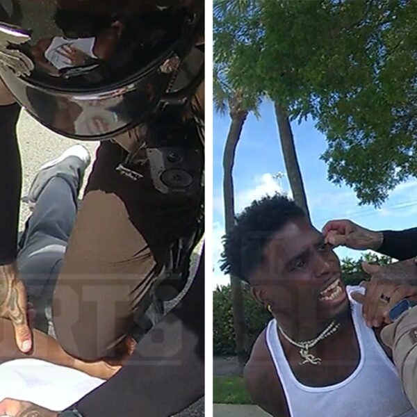 Police Video Shows Cops Yanking Tyreek Hill Out Of Car After Window…