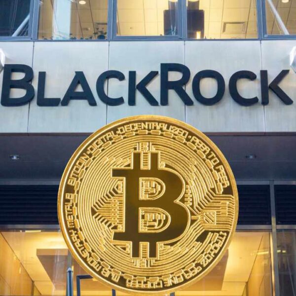 BlackRock And Bitcoin ETFs Shielded BTC From Massive Drops — Analyst