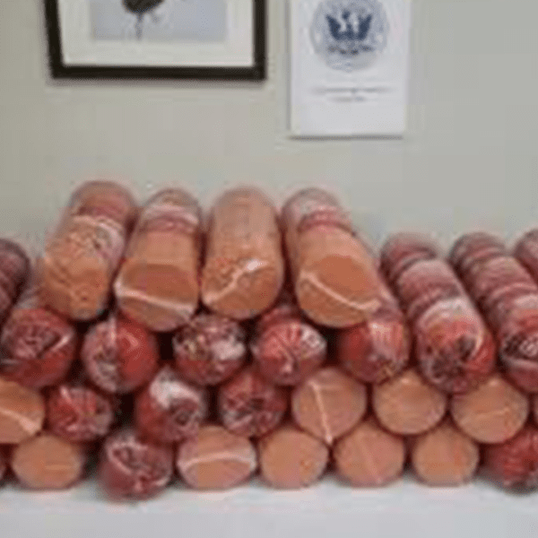 Woman caught smuggling greater than 700 kilos of bologna at southern border:…