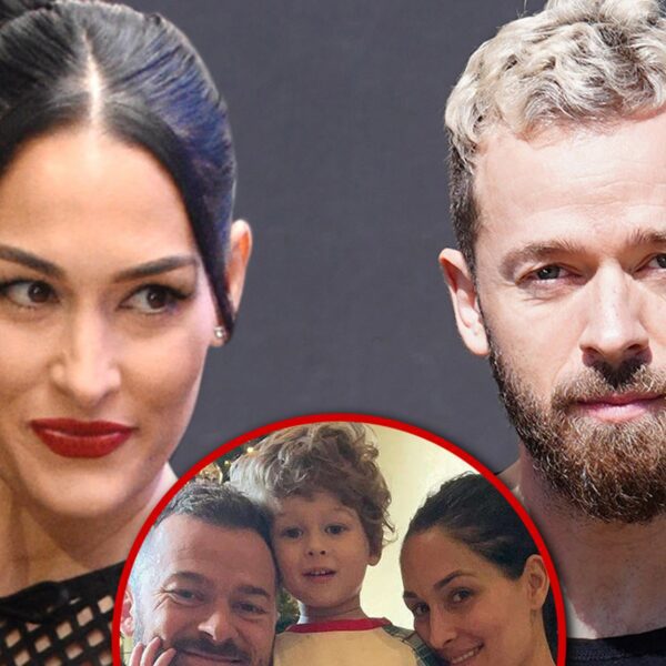 Nikki Bella Asks for Legal & Physical Custody of Son in Divorce…