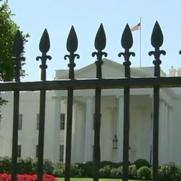 JUST IN: Secret Service Arrests Individual Who Scaled White House Fence, Suspect…