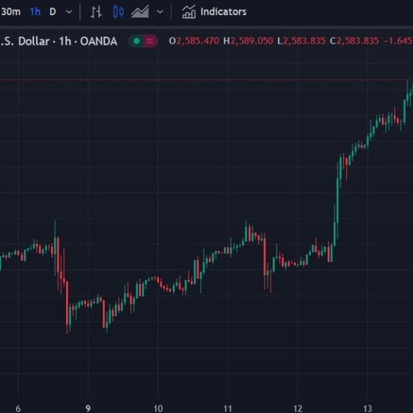 Gold has hit a brand new file excessive, above USD 2588