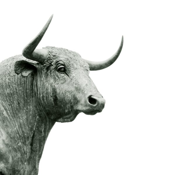 55% Of Crypto Investors Are Bullish About BTC, ETH