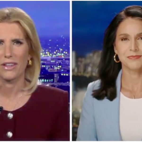 Tulsi Gabbard Blasts Kamala Harris as ‘Unfit’ for Commander in Chief Role…