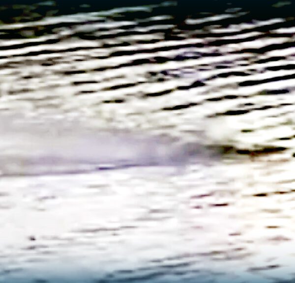 WATCH: Footage Suggests There Are Currently TWO Loch Ness Monsters | The…