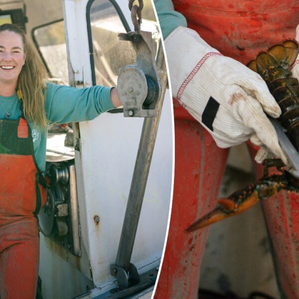 Maine lobster captain shares her favourite strategy to eat a traditional lobster…