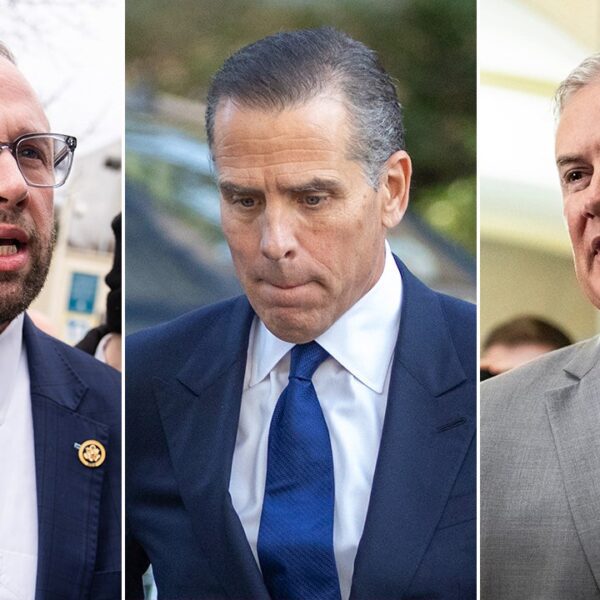 House Republicans cry ‘vindication’ after Hunter Biden responsible plea