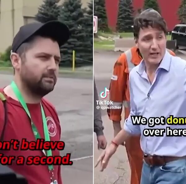 “I Don’t Believe You for a Second” – Absolutely BRUTAL! – Canadian…