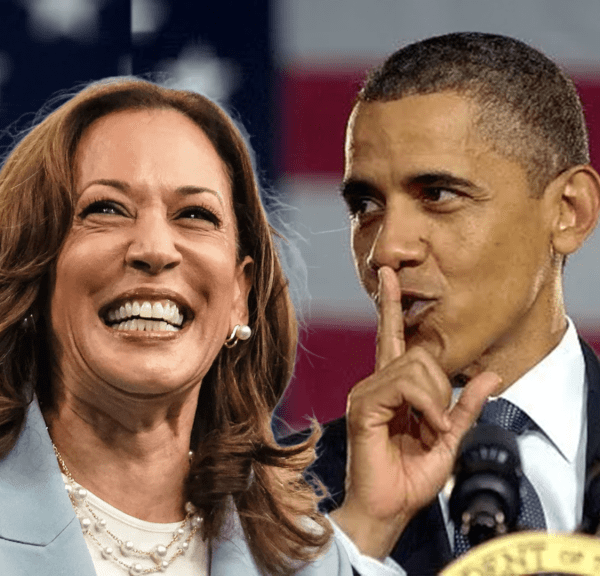 Obama’s SECRET Celebrity FUELED Plan to Steal the 2024 Election REVEALED |…