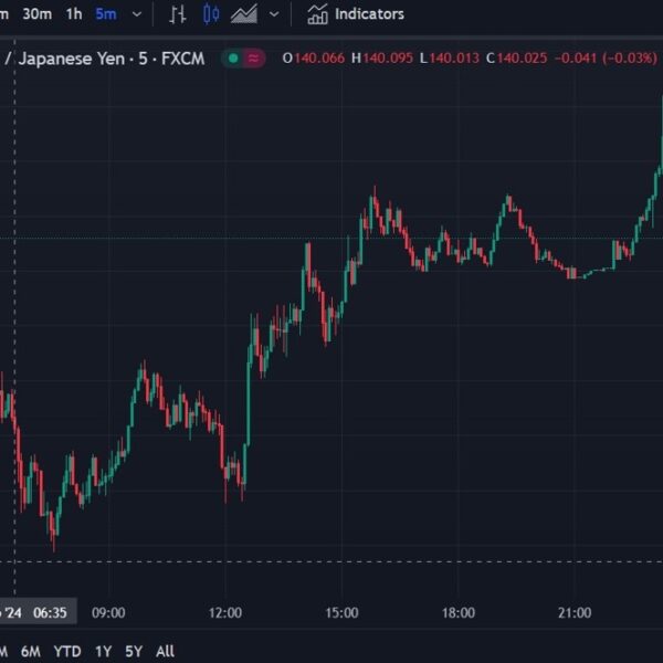 Japan finance minister Suzuki says fast FX strikes are undesirable