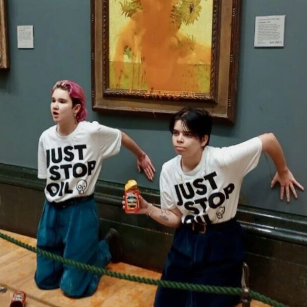 JUSTICE: Climate Change Activists Who Threw Soup on Van Gogh Painting Actually…