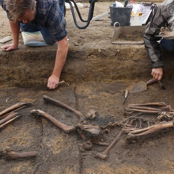 Dozens of ‘exceptionally well-preserved’ Viking skeletons unearthed in Denmark: ‘Truly unusual’