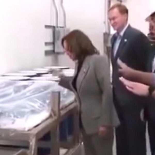 “Do Not Touch It!” – Idiot Kamala Harris Tours Semiconductor Plant and…