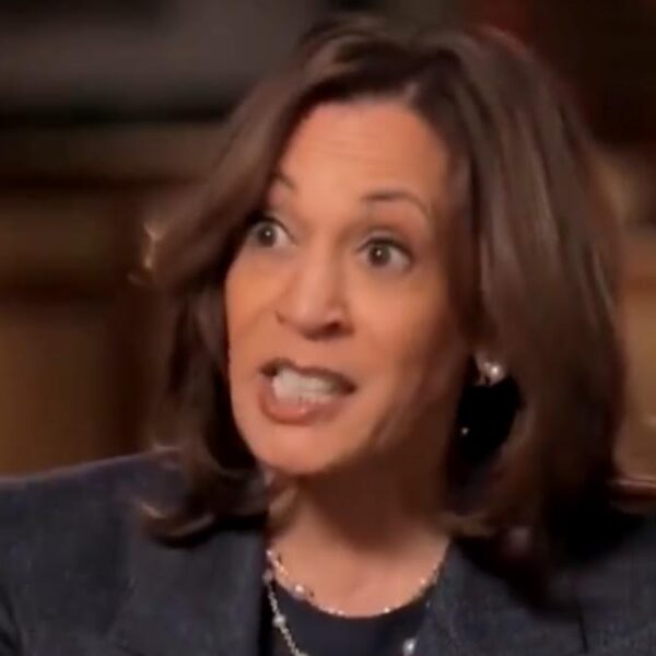 Kamala Harris Loudly Booed For Snubbing Al Smith Memorial Foundation Dinner (VIDEO)…