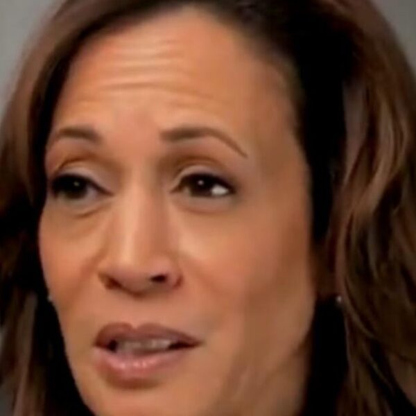 Kamala Harris AGAIN Says It May Take Days to Count Ballots (VIDEO)…