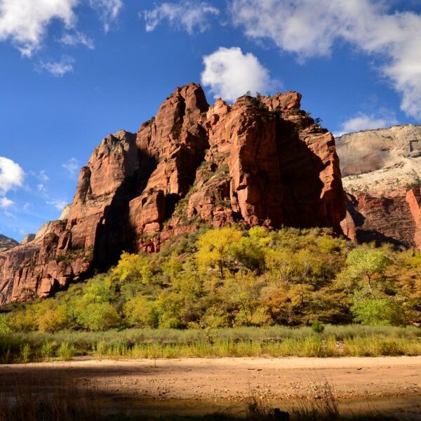 Man falls 200 toes to his demise at Utah’s Zion National Park