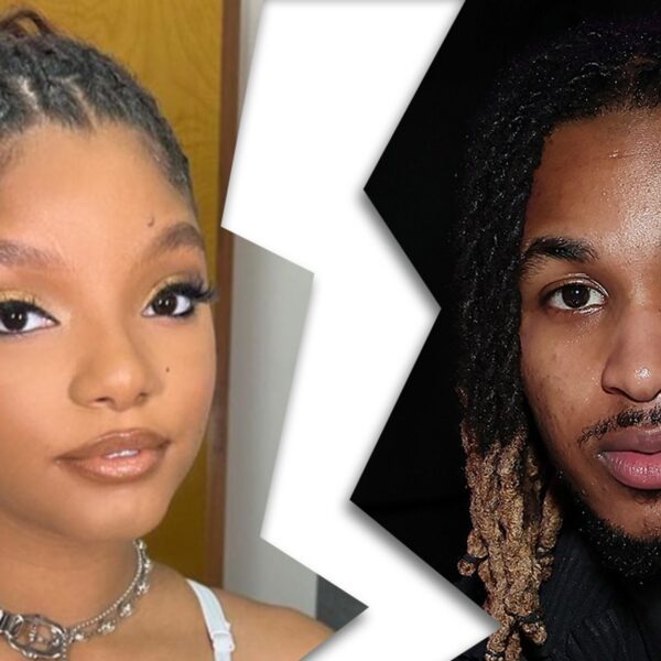 Halle Bailey and DDG Split