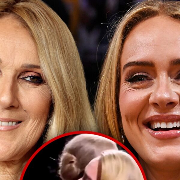 Adele in Tears After Spotting Celine Dion at Las Vegas Residency