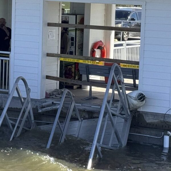 Georgia islanders rush to rescue survivors as dock walkway collapse kills 7…