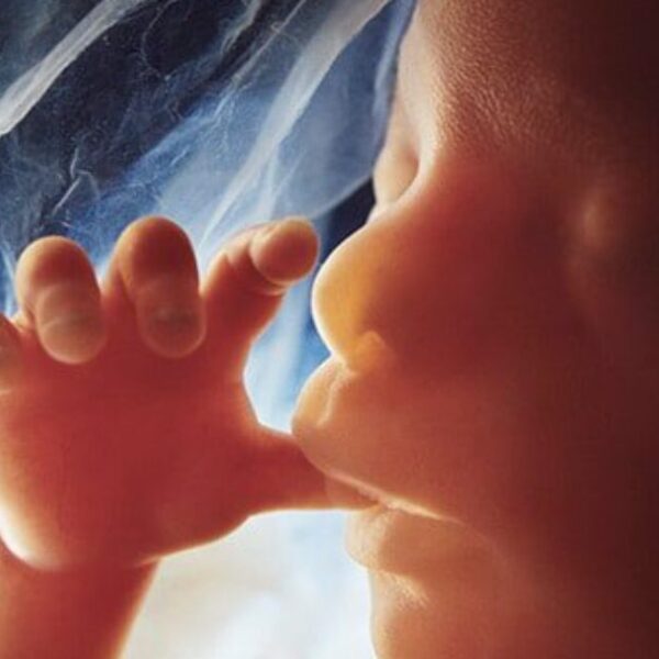 Scientists Sue After Publisher Moves to Suppress Science-Based Evidence of Abortion Dangers…