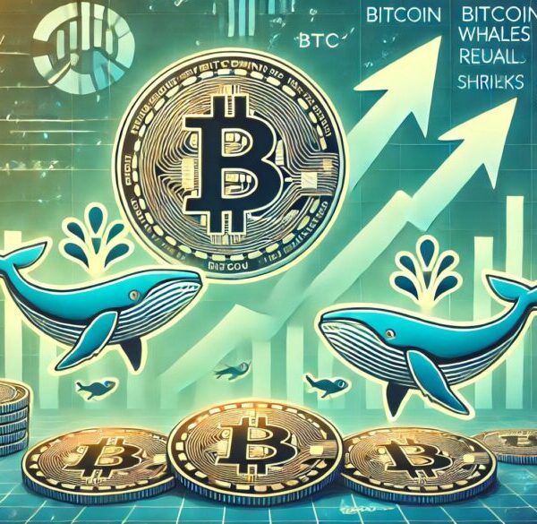 Bitcoin Whales Are Growing As Retail Shrinks – A Sign Of Strength?…