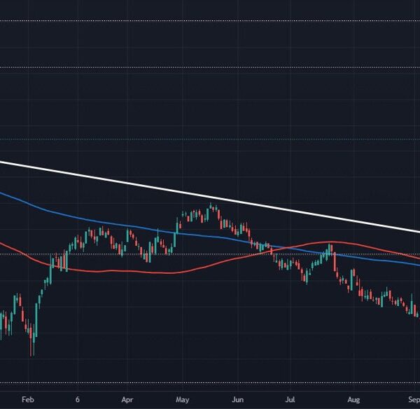 Chinese equities look to carry on to hope for now at the…