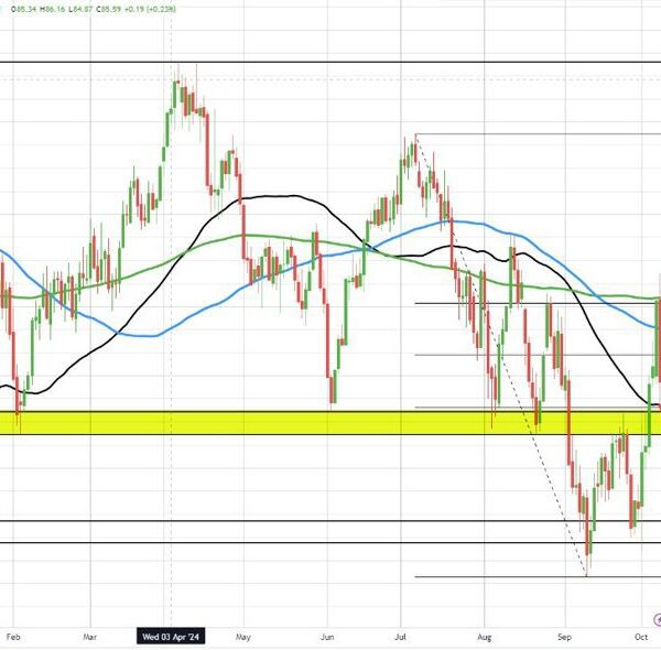 Crude oil settles at $73.57