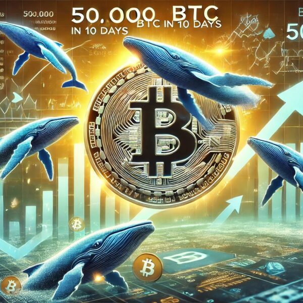 Bitcoin Whale Activity Hints At Upside: Big Players Bought 50,000 BTC In…