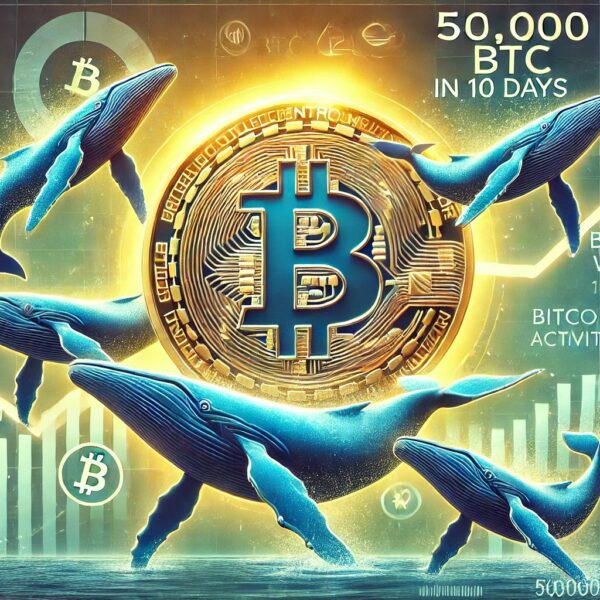 Bitcoin Whales Bought 1.5M BTC In The Past 6 Months: Smart Money…