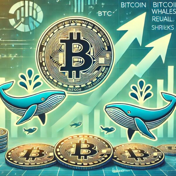 Bitcoin Whales Are Growing As Retail Shrinks – A Sign Of Strength?