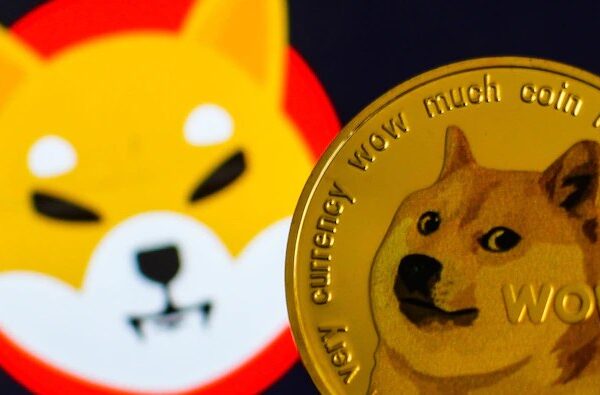 Dogecoin Price Rockets 28% To Cross $0.17, Shiba Inu Surpasses Avalanche, Is…