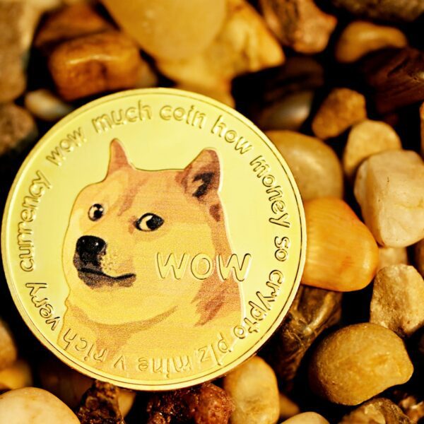 Analyst Says Dogecoin Is The Most Obvious Play Of This Cycle, Here’s…