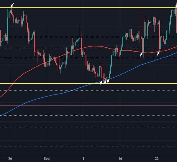 Euro falls to recent lows on the day