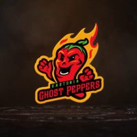 Gastonia followers select Ghost Peppers after a season of what-ifs – SportsLogos.Net…