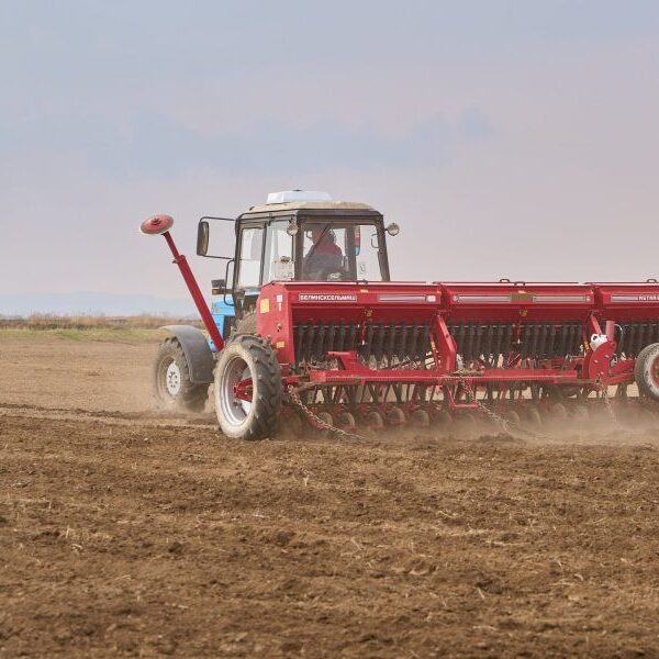 Russia financial system: Farmers informed to wish for rain amid drought