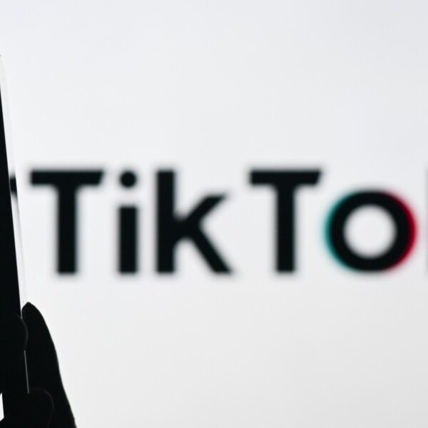 TikTok’s mum or dad launched an online scraper that is gobbling up…