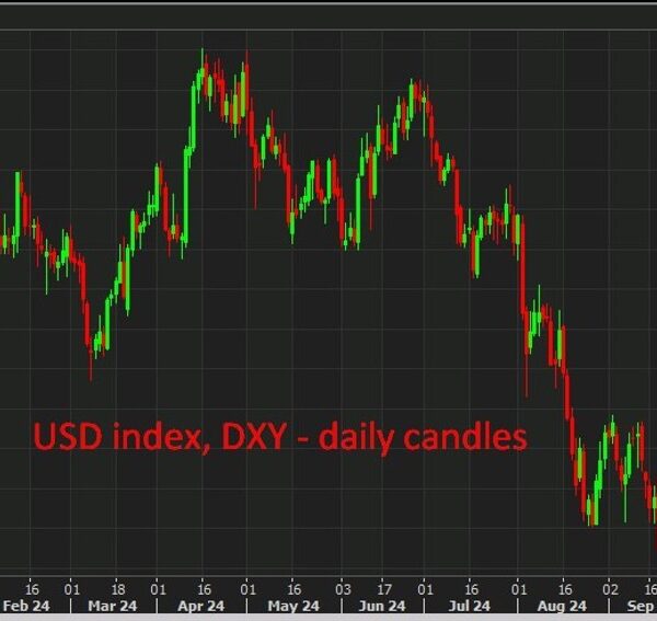 MUFG says US greenback to rise if Trump wins, however a lot…