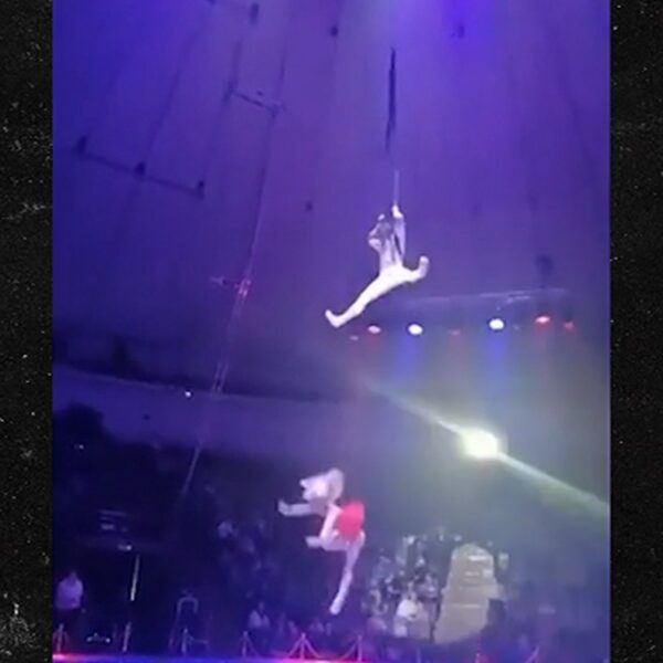 Circus Acrobat’s Horrifying Drop Caught on Camera, Both Arms Broken