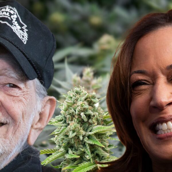 Willie Nelson Organizes Cannabis Community Event to Support Kamala Harris