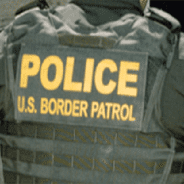 Border Patrol Union makes decisive selection between Trump or Harris and extra…