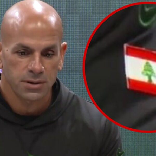 Robert Saleh Firing Completely Unrelated To Wearing Lebanese Flag