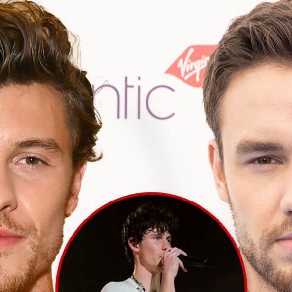 Shawn Mendes Stops Concert To Honor Liam Payne