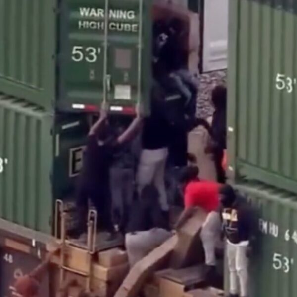 Dozens of Thieves Ransack Freight Train in Chicago (VIDEO) | The Gateway…